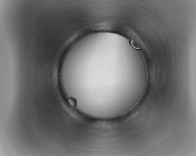 X0000113740538200910071048