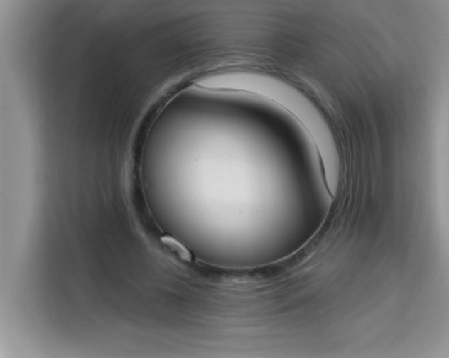 X0000113740540200910071048