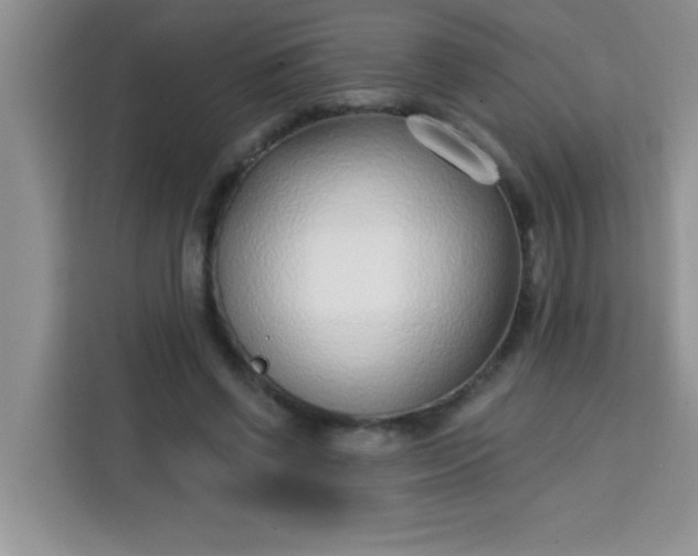 X0000113740542200910071048