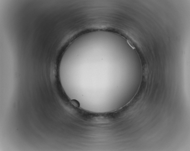 X0000113740544200910071048