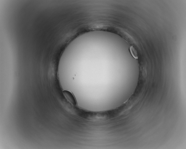 X0000113740546200910071048