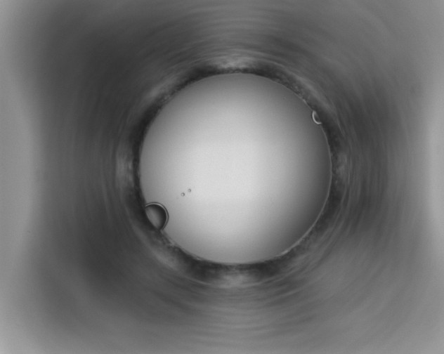 X0000113740547200910071048