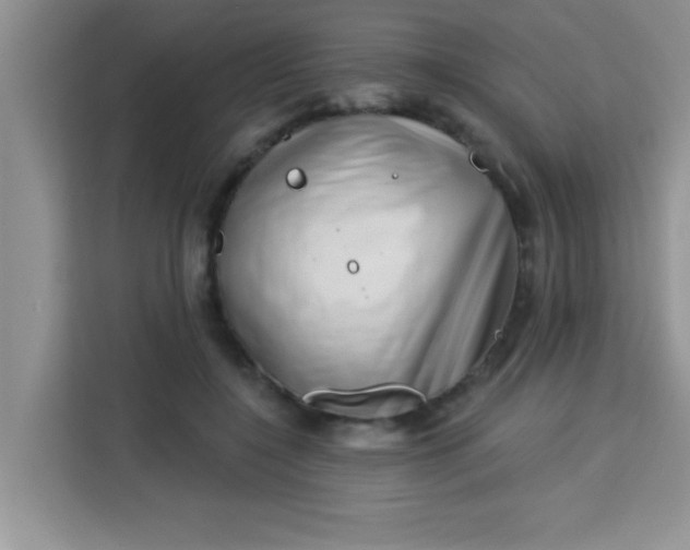 X0000113740548200910071048