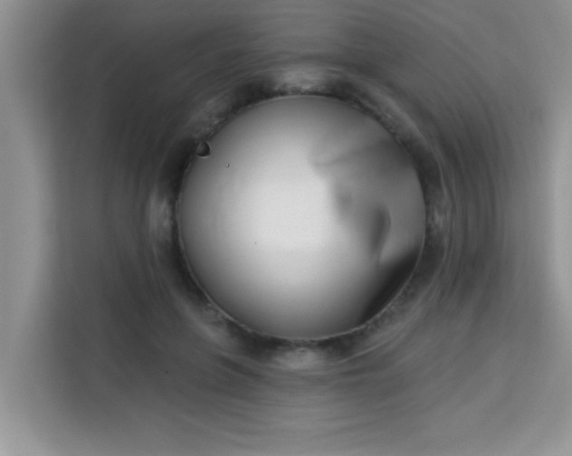 X0000113740551200910071048