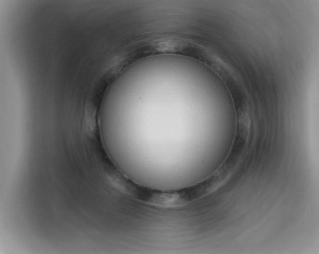 X0000113740554200910071048