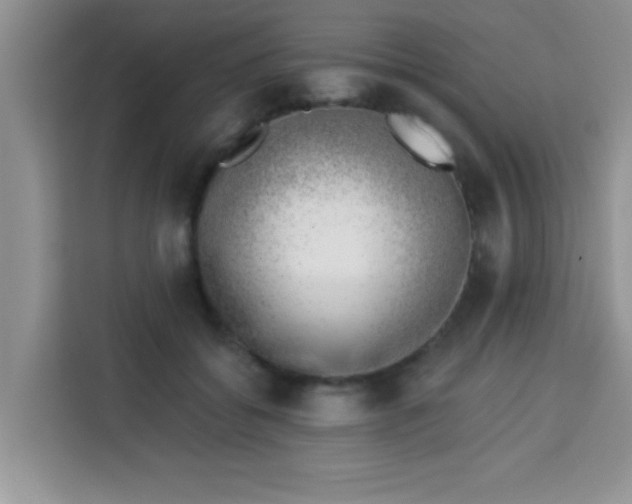 X0000113740556200910071048