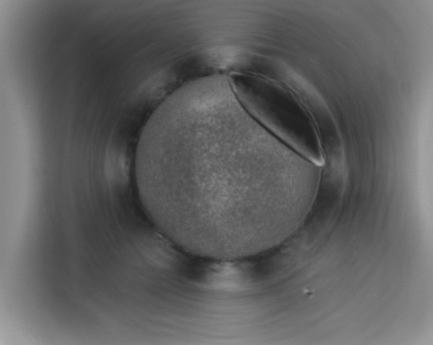 X0000113740558200910071048