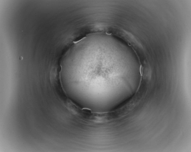 X0000113740560200910071048