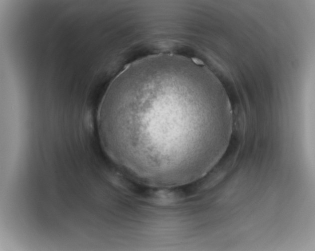 X0000113740562200910071048