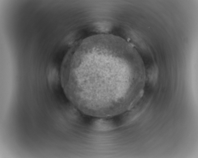 X0000113740568200910071048