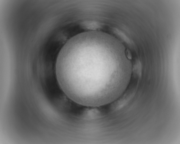 X0000113740572200910071048