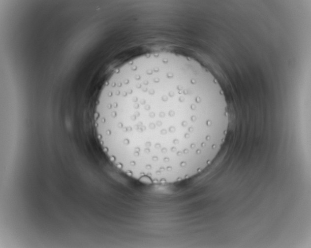 X0000113740573200910071048