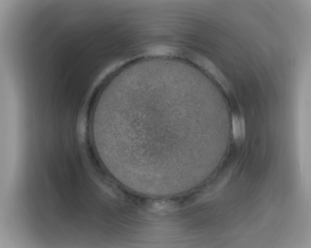 X0000113740579200910071048