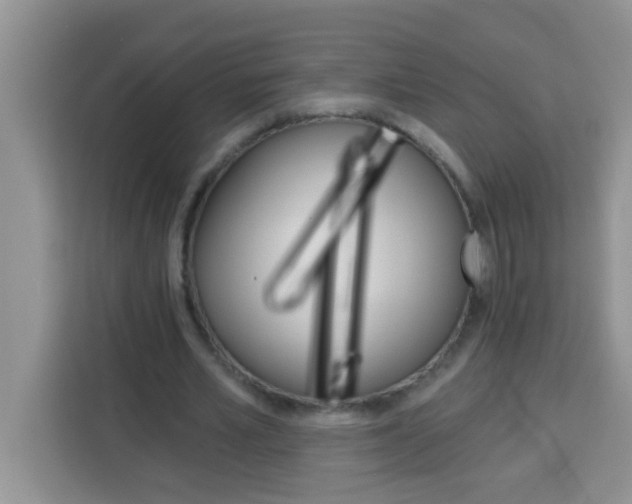 X0000113740581200910071048