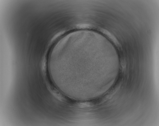 X0000113740583200910071048