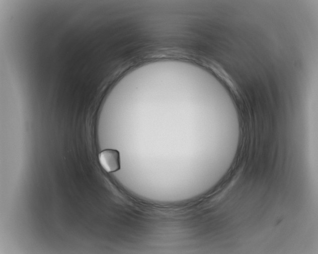 X0000113740585200910071048