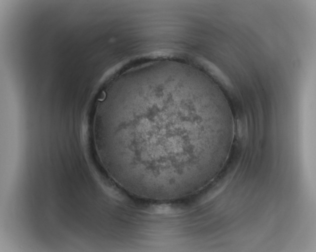 X0000113740588200910071047