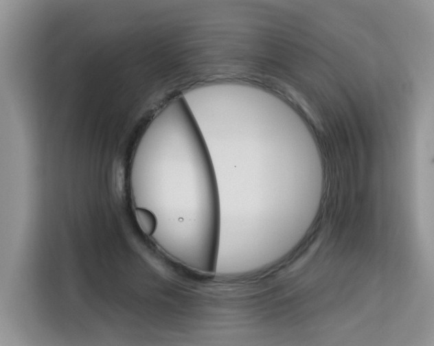 X0000113740589200910071047