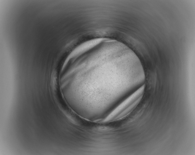 X0000113740590200910071047