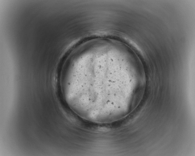 X0000113740592200910071047