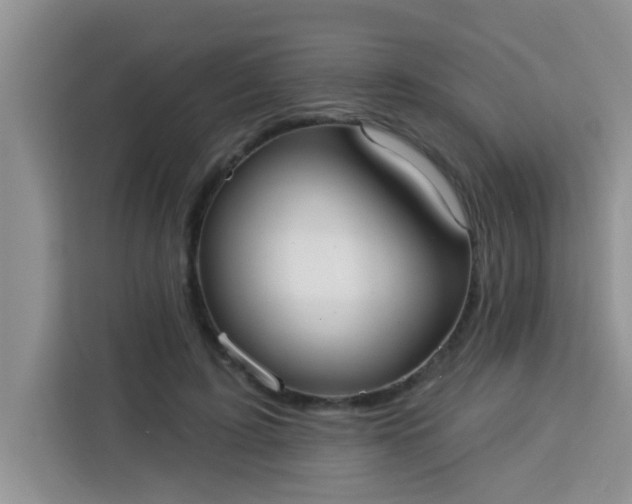 X0000113740595200910071047