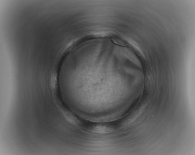 X0000113740596200910071047