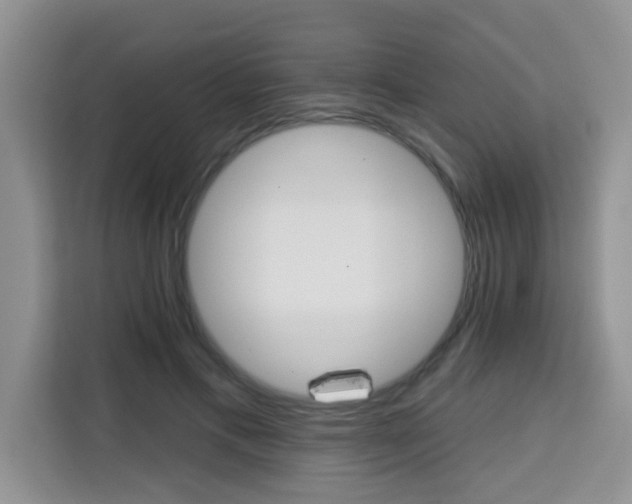 X0000113740597200910071047