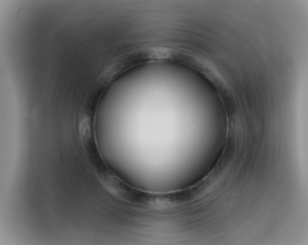 X0000113740598200910071047