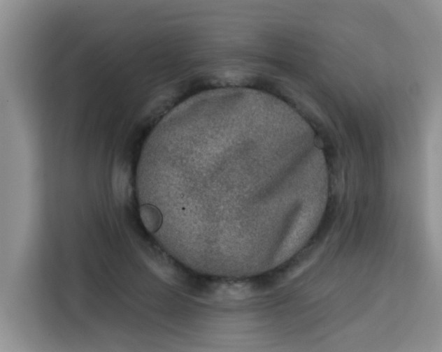 X0000113740599200910071047