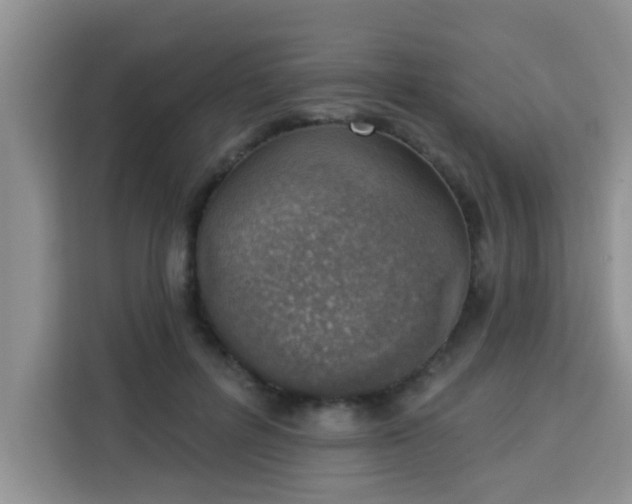 X0000113740600200910071047