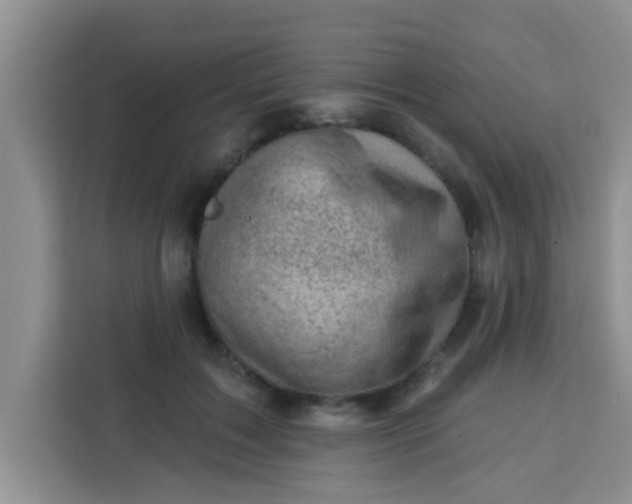 X0000113740603200910071047