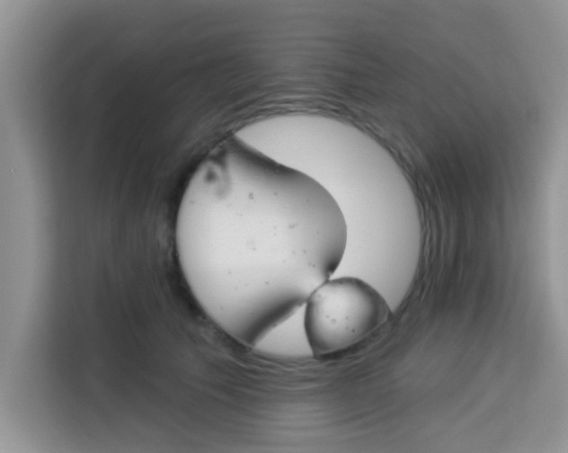 X0000113740609200910071047