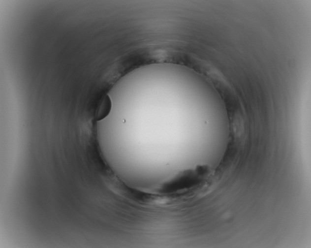 X0000113740611200910071047