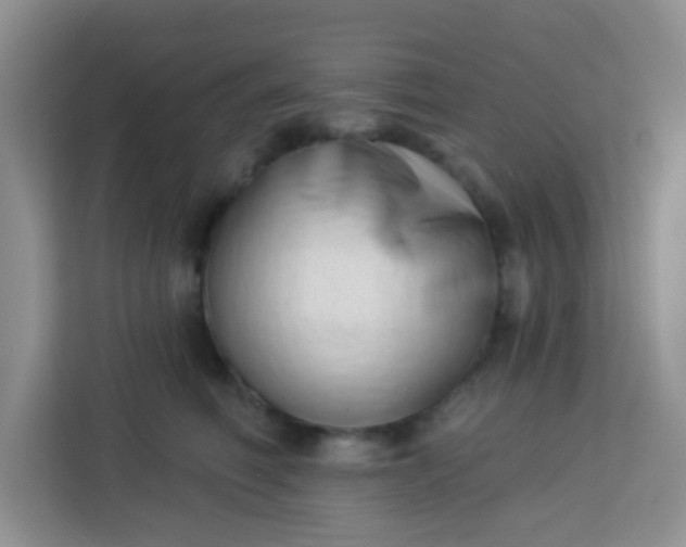 X0000113740614200910071047