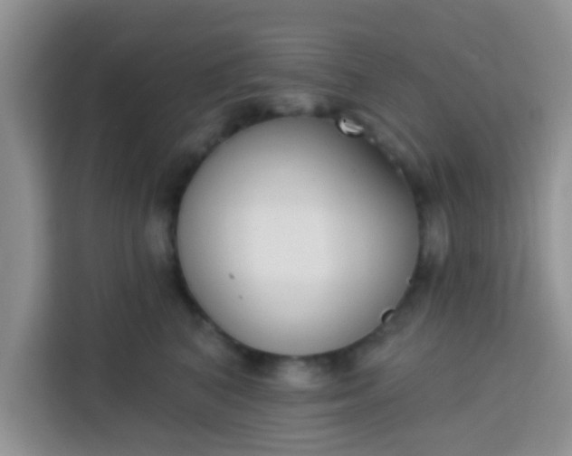 X0000113740616200910071047