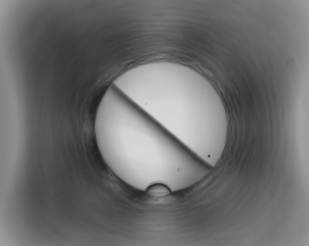 X0000113740617200910071047