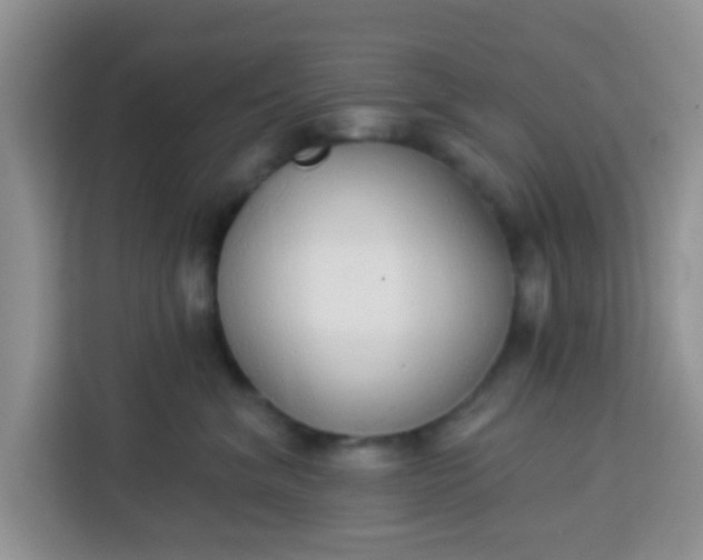 X0000113740620200910071047