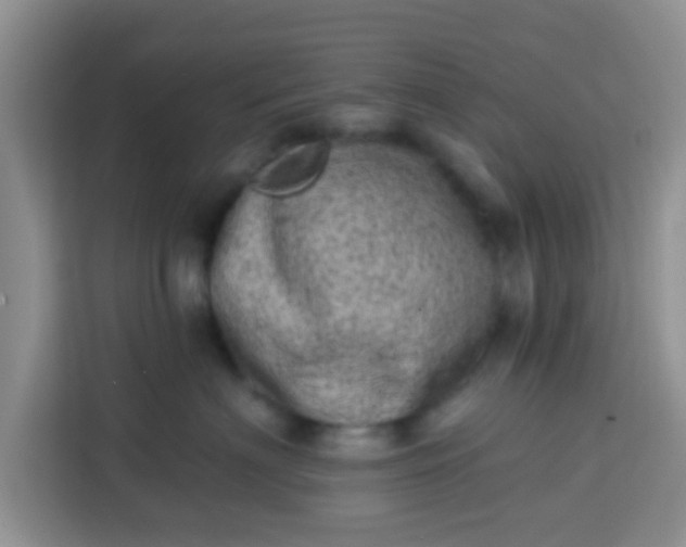 X0000113740622200910071047