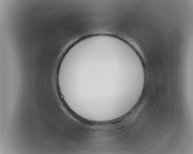 X0000113740625200910071046