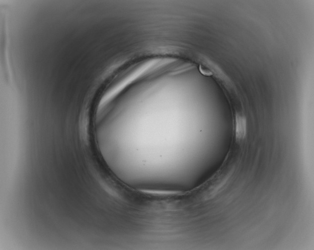 X0000113740627200910071046