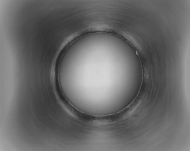 X0000113740630200910071046