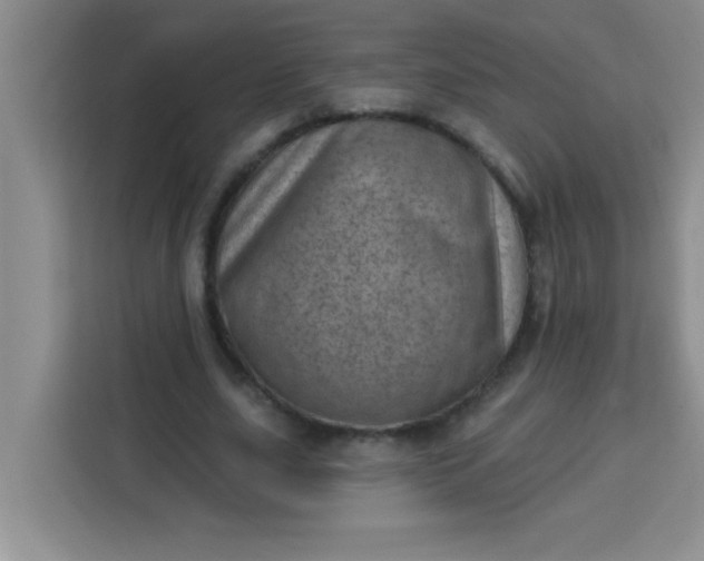 X0000113740631200910071046