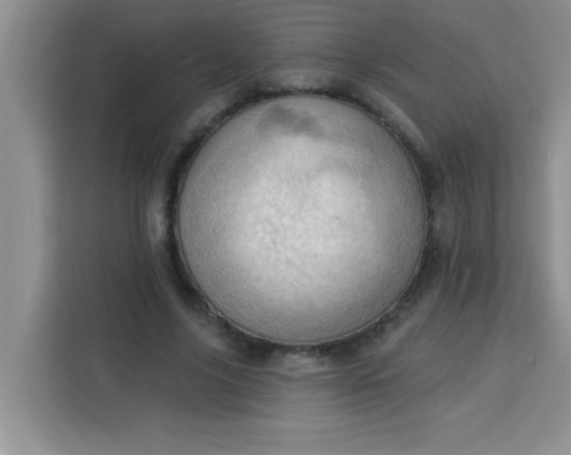 X0000113740635200910071047