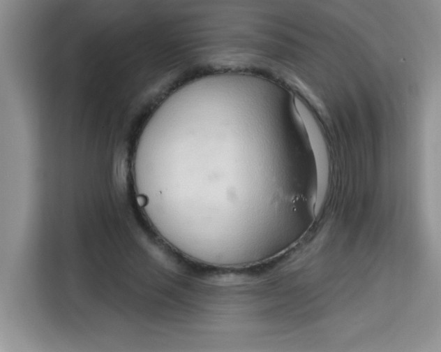 X0000113740637200910071047