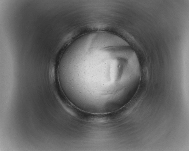 X0000113740638200910071047