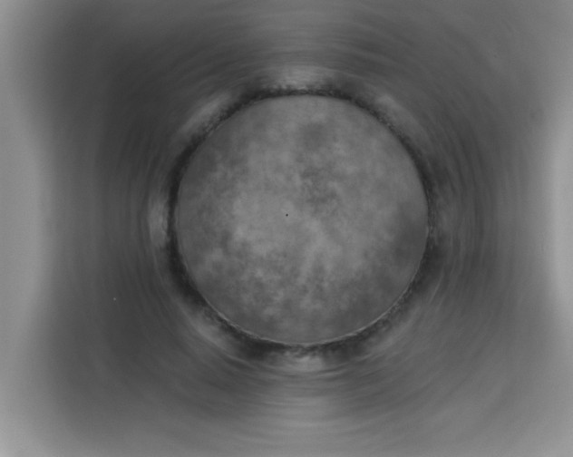 X0000113740640200910071047