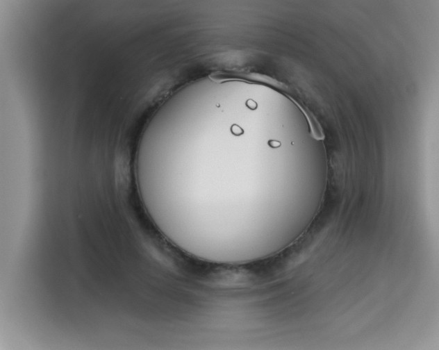 X0000113740642200910071047