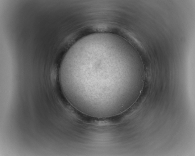 X0000113740645200910071047