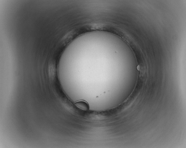 X0000113740648200910071047