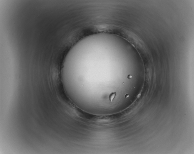 X0000113740653200910071047